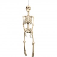 Suspension Squelette (92 cm)
