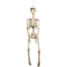 Suspension Squelette (92 cm). n°1