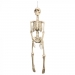 Suspension Squelette (92 cm). n°2