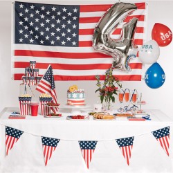 10 Assiettes American Party. n1