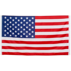 Drapeau American Party (90 x 150 cm)