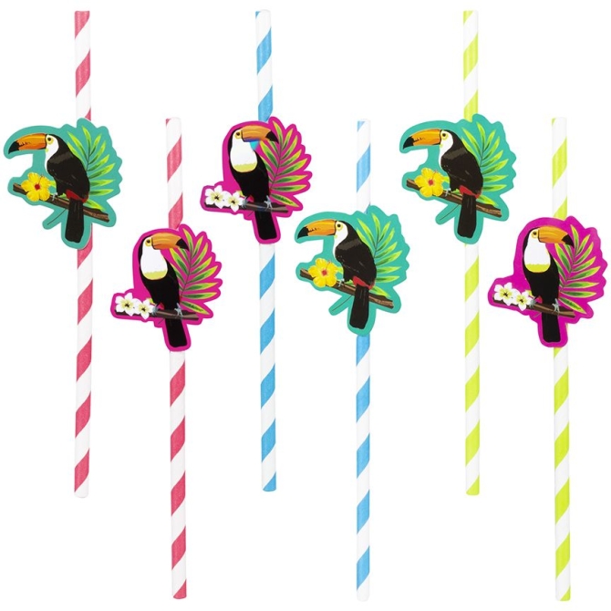 6 Pailles Toucan 