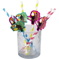6 Pailles Toucan. n°1