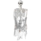 Suspension Squelette à l'Envers (140 cm) images:#1