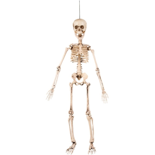 Suspension Squelette Mobile (50 cm) 