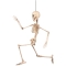 Suspension Squelette Mobile (50 cm) images:#1