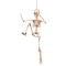 Suspension Squelette Mobile (50 cm) images:#3