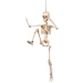 Suspension Squelette Mobile (50 cm). n°4