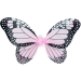 Set Papillon. n3