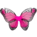 Set Papillon. n6
