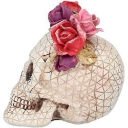 Tte de Mort Seora Rosa - 16 cm. n2