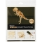 Figurine  assembler 3D - Dinosaure images:#1