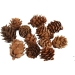 12 Mini Pommes de Pain. n1
