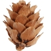 12 Mini Pommes de Pain. n3