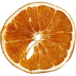 5 Tranches d Oranges Sches. n2