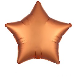 Kit 4 Ballons Aluminium Savane - Lion. n�4