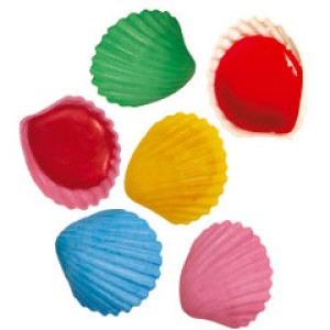 1 Coquillage Roudoudou