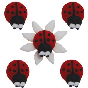 5 Coccinelles en sucre