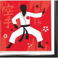 Theme D Anniversaire Karate Party Pour Votre Enfant Annikids