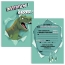 8 Invitations et 8 Enveloppes - Dinosaure Jurassique