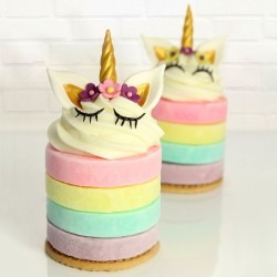 Moule Pop-it Licorne. n2