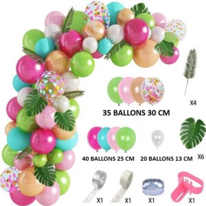 Kit Arche 95 Ballons Exotique