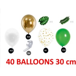 Kit Arche 40 Ballons Tropical. n2