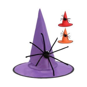 Chapeau de Sorcière Araignée