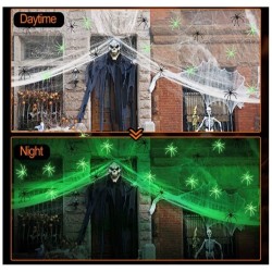 Toile d araign�e 200 g  +  20 araign�es phosphorescentes � Glow in the Dark. n�1