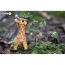 Kit Figurine Girafe 3D  assembler - Eugy