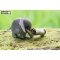 Kit Figurine Elephant 3D  assembler - Eugy images:#2