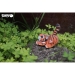 Kit Figurine Tigre 3D  assembler - Eugy. n4