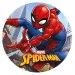 Disque Spiderman (20 cm) - Azyme. n°1