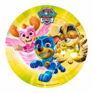Theme D Anniversaire Pat Patrouille Team Pour Votre Enfant Annikids