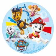 Theme D Anniversaire Pat Patrouille Team Pour Votre Enfant Annikids