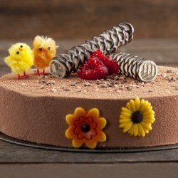 Set de 3 Fleurs de Printemps - Chocolat. n1