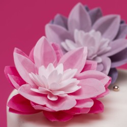 Nénuphar en Azyme Lilas – Ø 14 cm. n°3