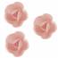 3 Petites Roses Rose Bio (4 cm) - Azyme