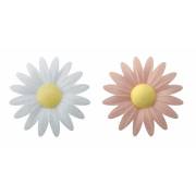 2 Petites Marguerites Rose/Blanc Bio (4,5 cm) - Azyme