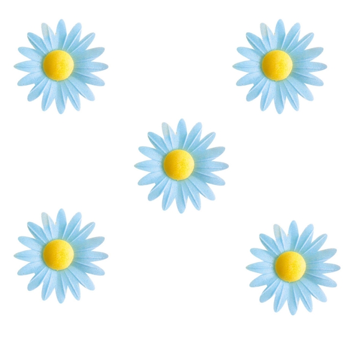 5 Petites Marguerites Bleues  Coeur Jaune (4, 5 cm) - Azyme 