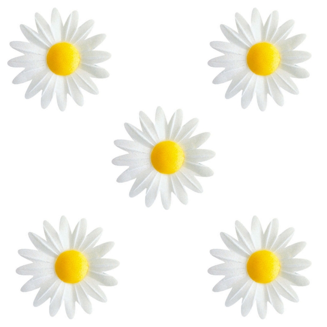 5 Petites Marguerites Blanches  Coeur Jaune (4, 5 cm) - Azyme 