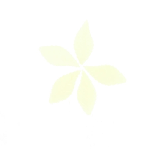 5 Mini Feuilles de Rose Bio - Blanc (3,8 cm) - Azyme 