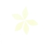 5 Mini Feuilles de Rose Bio - Blanc (3,8 cm) - Azyme