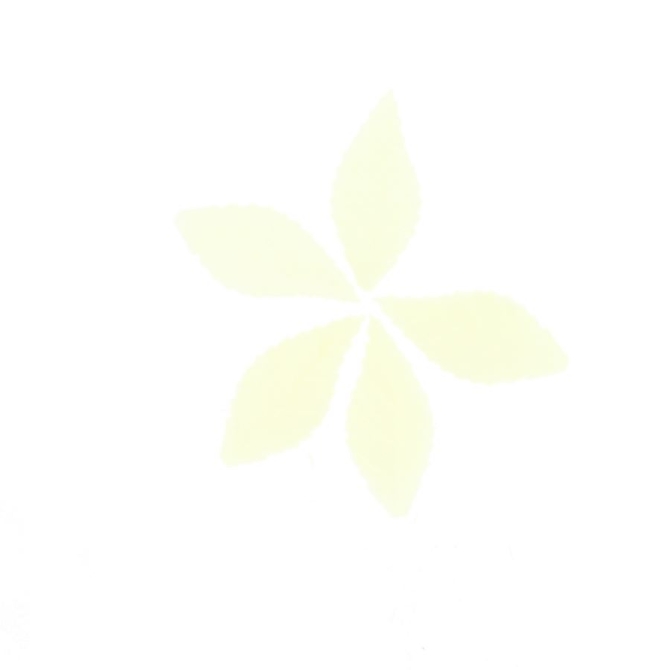 5 Mini Feuilles de Rose Bio - Blanc (3, 8 cm) - Azyme 