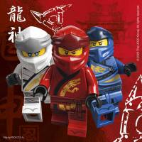 20 Serviettes Ninjago - Compostable