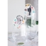 6 Dcors pour Verre Zoo Party