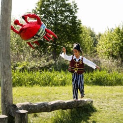 Ballon Aluminium Gant - Crabe - 93 cm. n1