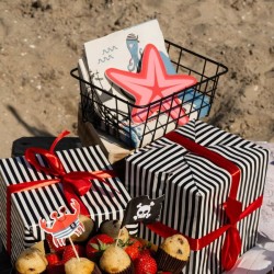 20 Serviettes Pirate Party. n�2