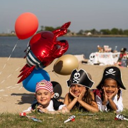 6 Ballons Pirate Party. n�2