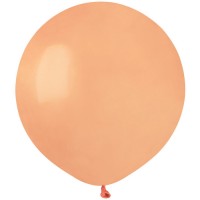 10 Ballons Pche Mat 48cm